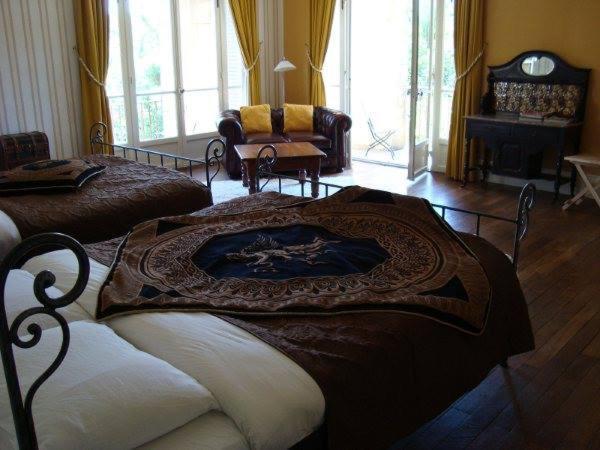 Chambres D'Hotes-Chateau Constant Bessines-sur-Gartempe Exterior foto