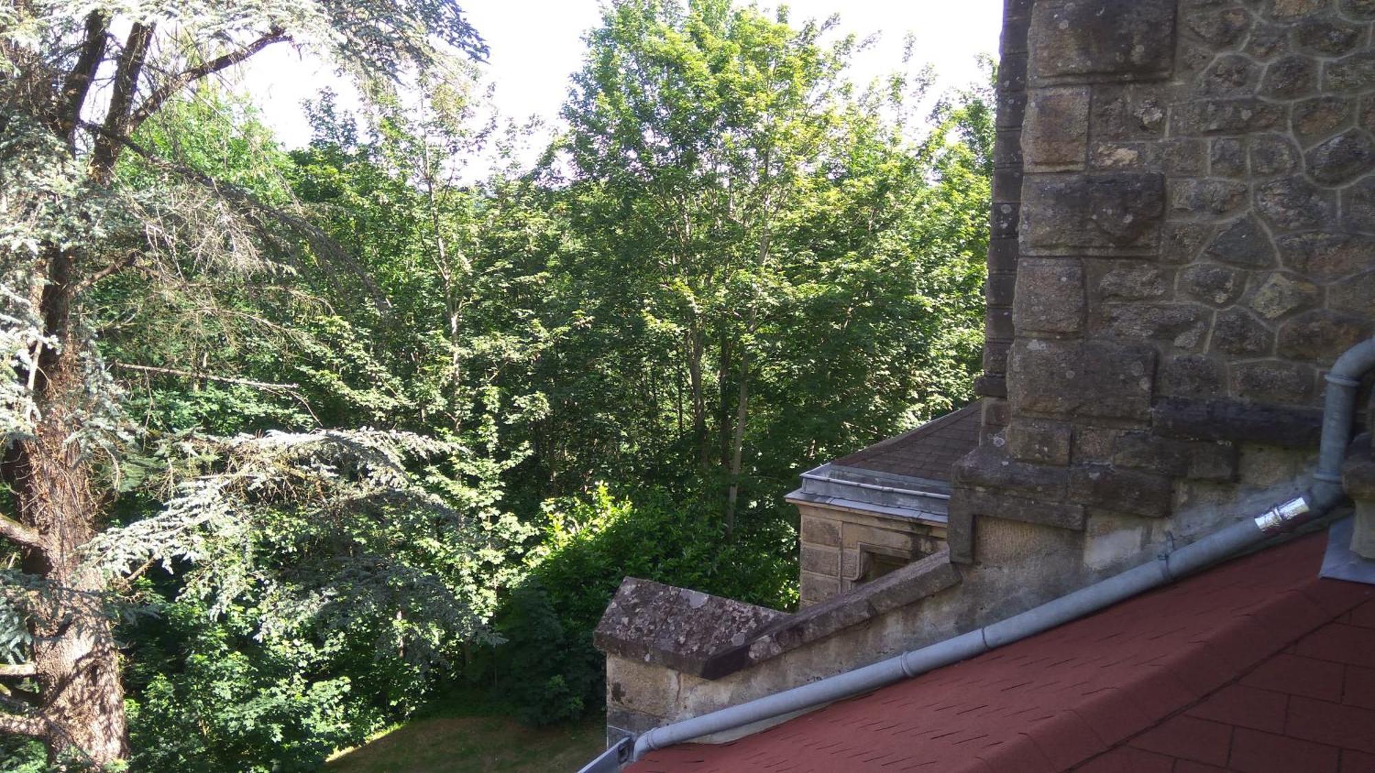 Chambres D'Hotes-Chateau Constant Bessines-sur-Gartempe Habitación foto